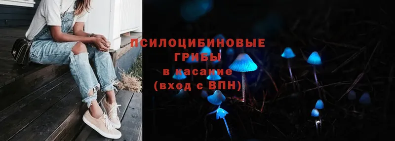 МЕГА ссылки  Сортавала  Псилоцибиновые грибы MAGIC MUSHROOMS  купить  цена 